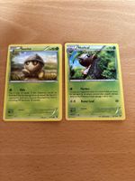 2 Pokemon Karten: Seedot & Nuzleaf