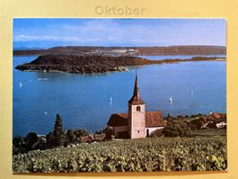 AK von St. Petersinsel Bielersee
