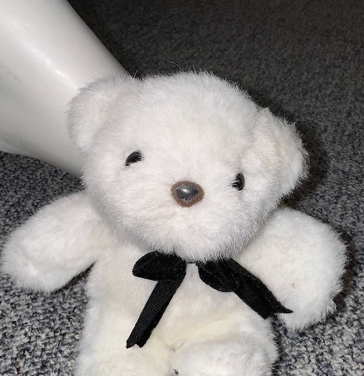 Giocattoli: Peluche ourson blanc – Nuovo (secondo la descrizione) da Genève venduto da flocon06 1