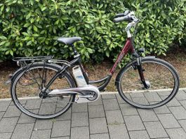 E-Bike Raleigh