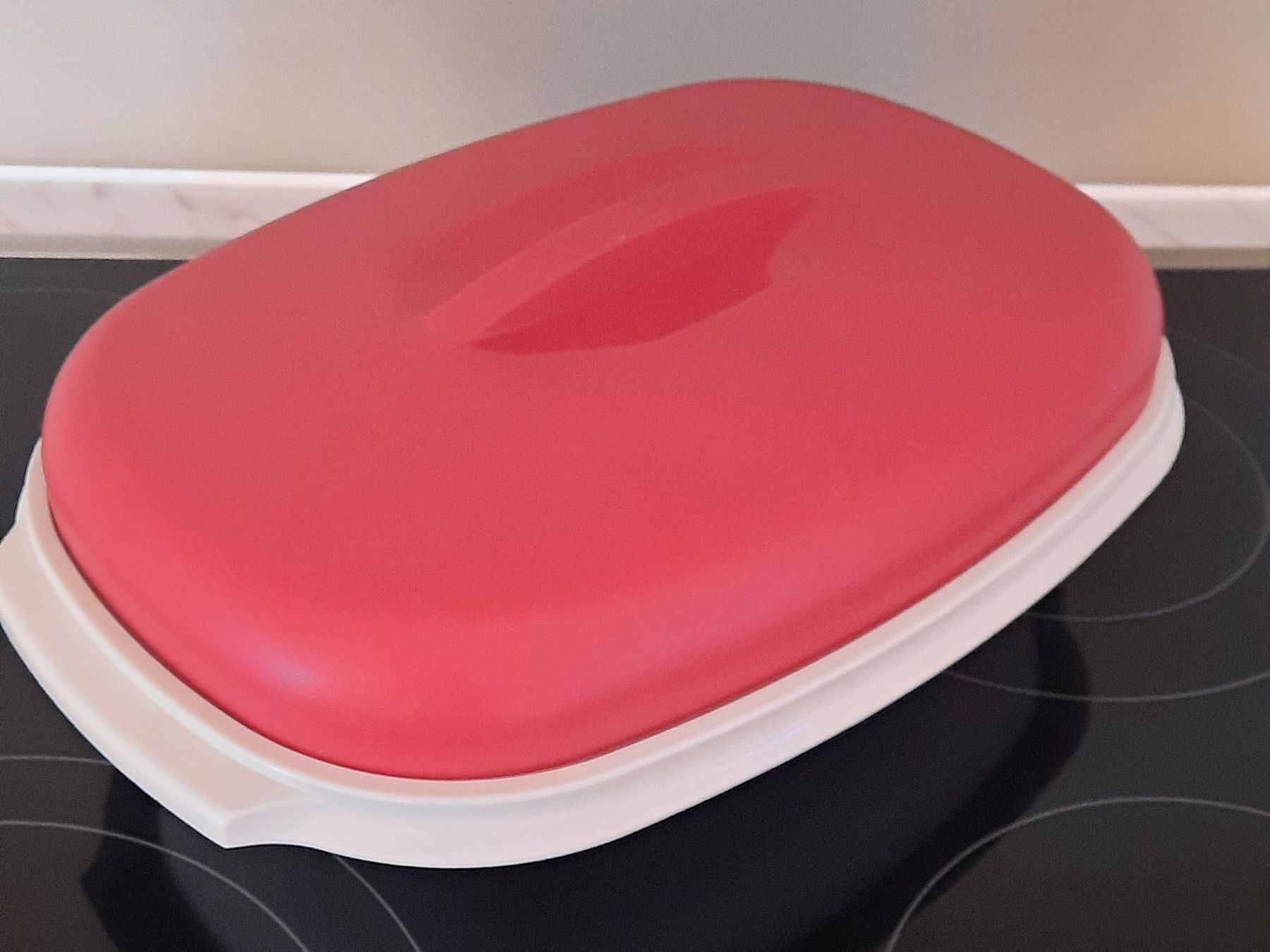 Tupperware Contenitori & Simili: Tupperware Thermochüssel/Abtropfsieb – Nuovo (secondo la descrizione) da Bonaduz venduto da Kr12pn