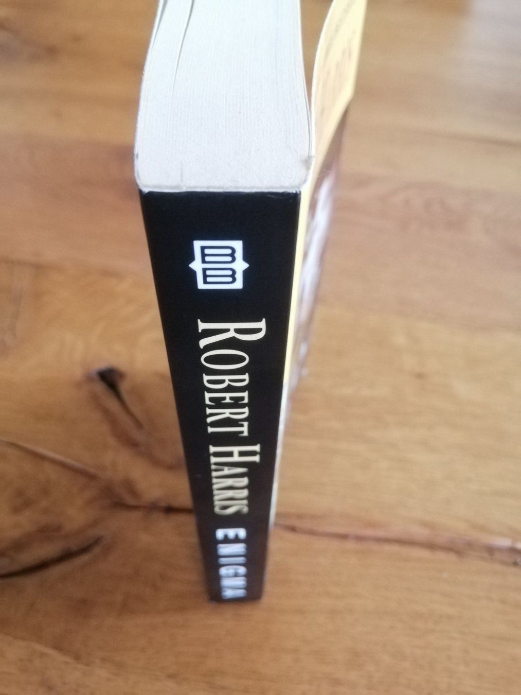 Libri: Enigma, Taschenbuch englisch – Usato da Langenthal venduto da Handstrick 2