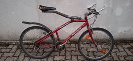 Softrider mit Carbon Schwebebalcken