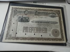 USA 18xx, Eisenbahnaktie Beech Greek Railroad