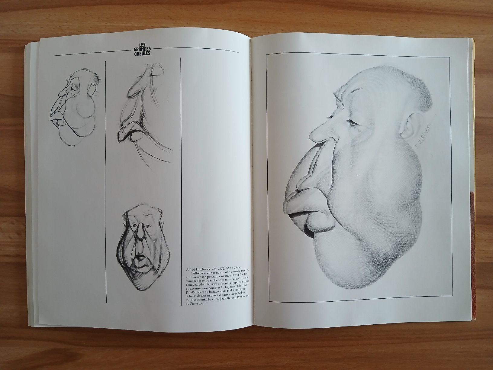 Libri: Les grandes Gueules – Usato da Le Sentier venduto da arc_2thy 6
