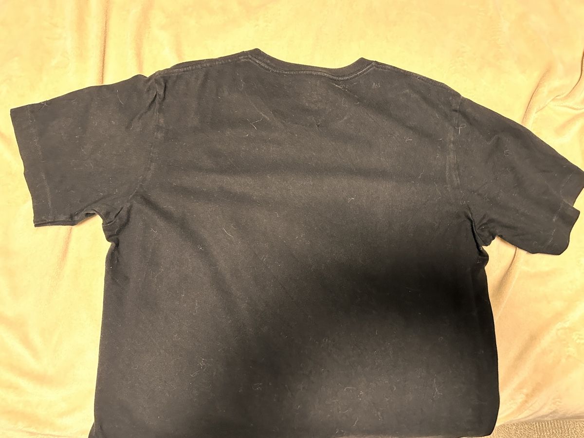 Uniqlo T-shirt: Kaws Sesame Street M – Usato da Gattikon venduto da 386ComicEmpire 2