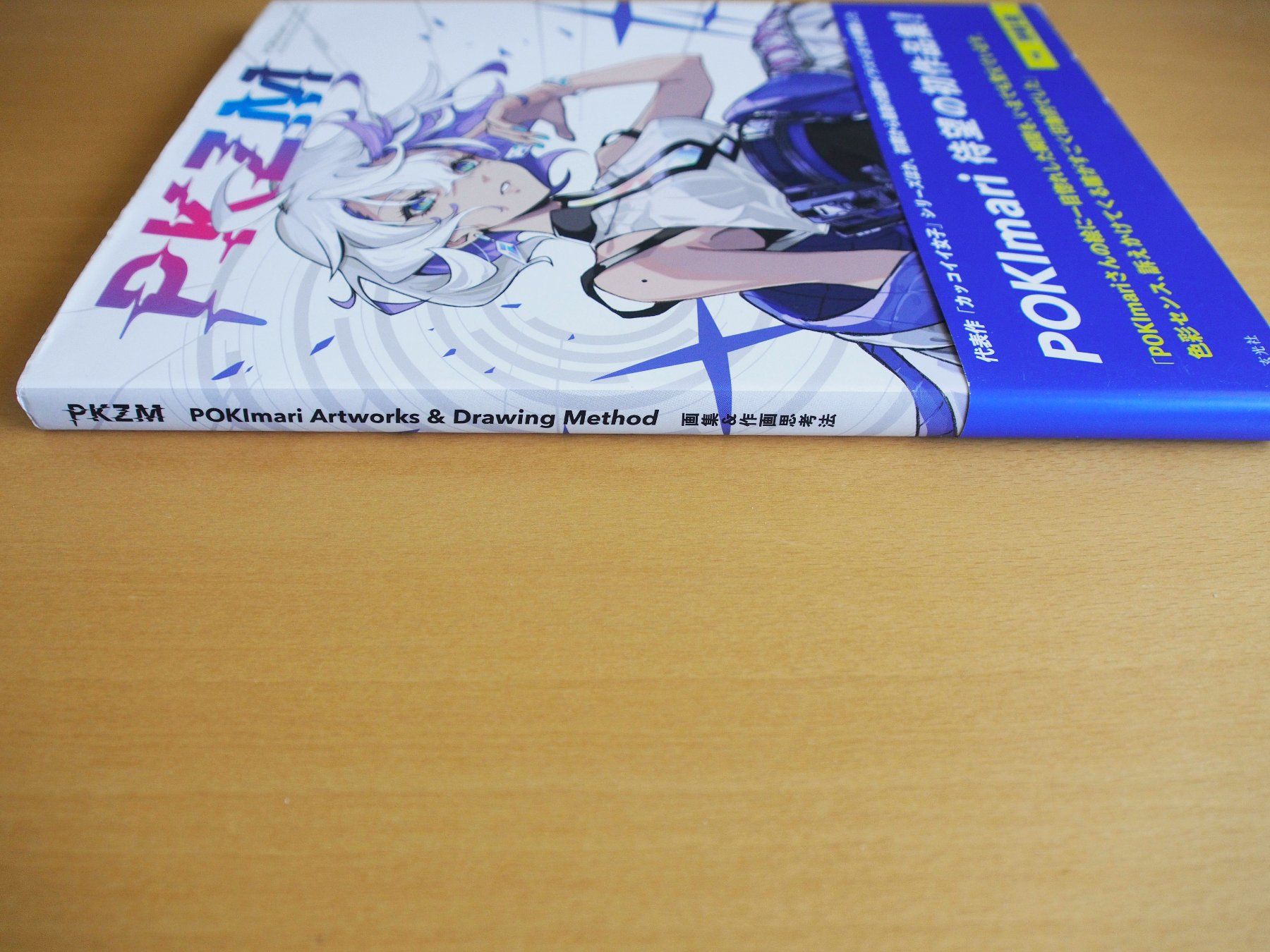Libri: PKZM (Artbook) – Usato da Winistorf venduto da raziel66 1