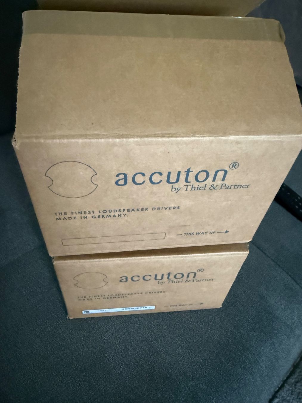 Casse acustiche: Accuton C158-8-085 Paar Ceramic Speaker Driver 5.5" – Usato da Schlieren venduto da BT89 4