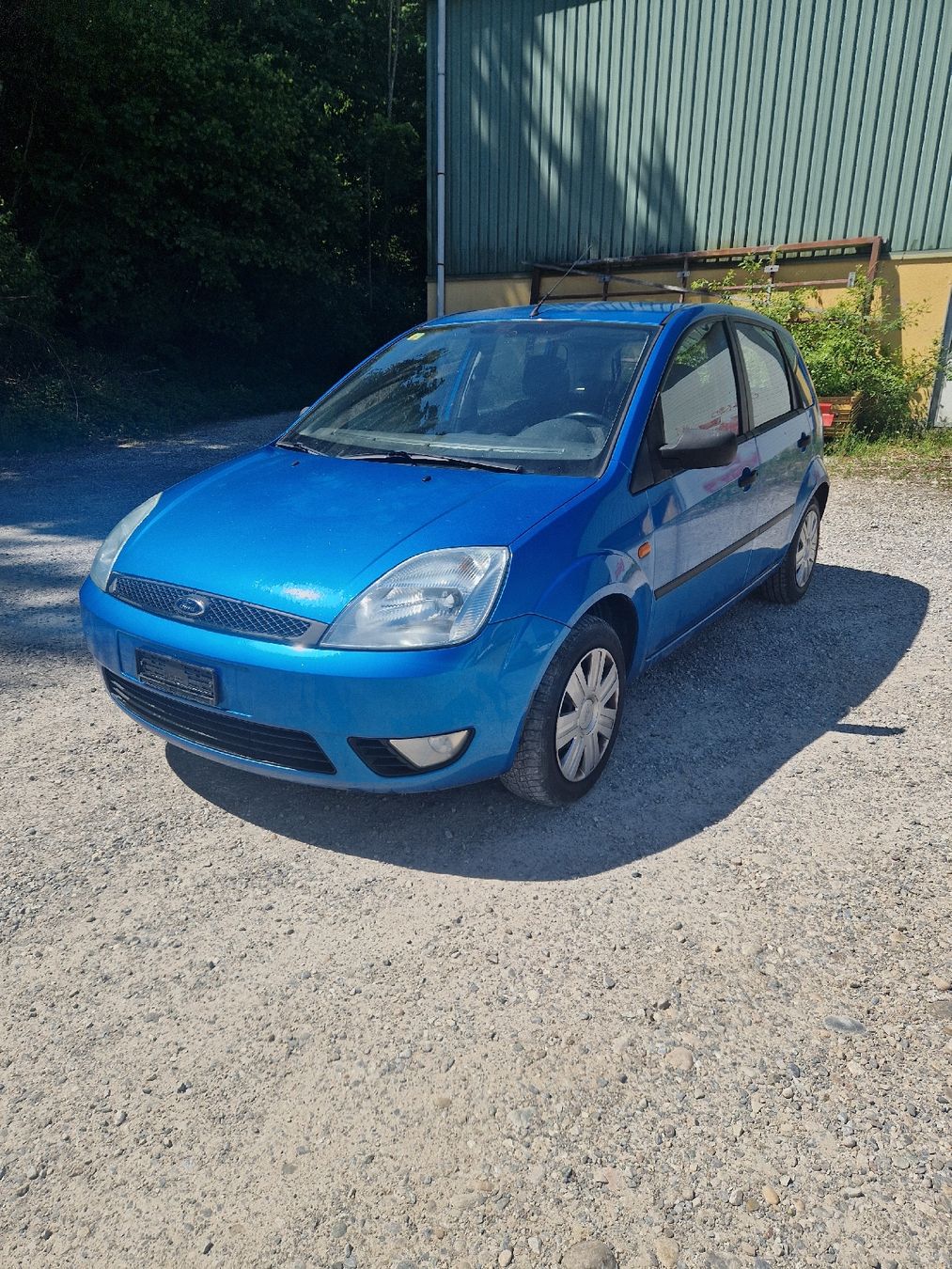Ford Automobili: Ford Fiesta – Usato da Etziken venduto da Roschi-racing