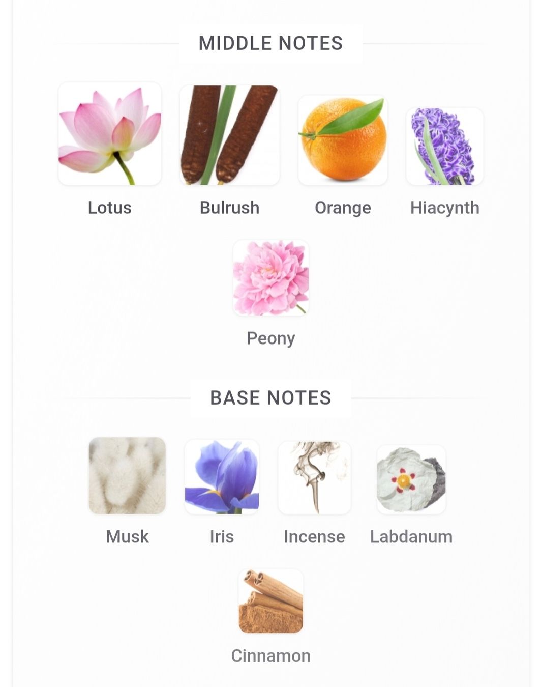 Hermès Profumi & Eau de Toilette: Hermès Un Jardin sur le Nil – Nuovo (secondo la descrizione) da Utzigen venduto da DRAGONY23 4