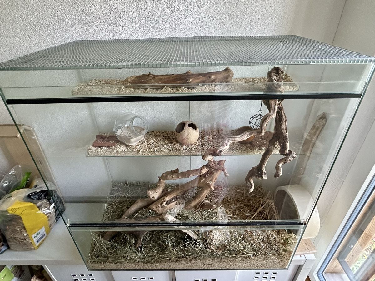Terrario: Nagerstall / Terrarium – Usato da Zimmerwald venduto da Quigley01