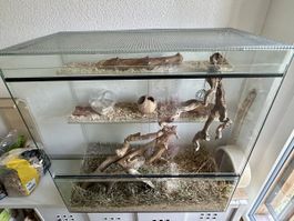 Nagerstall / Terrarium