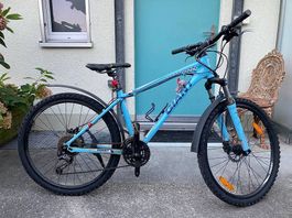 Giant Talon Mountainbike 26 Zoll