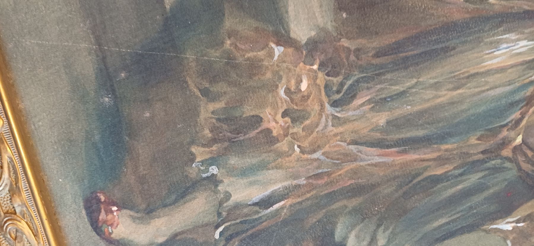 Foto & Immagini: Schönes Bild Salome – Usato da Flawil venduto da Pinkmalibu 9