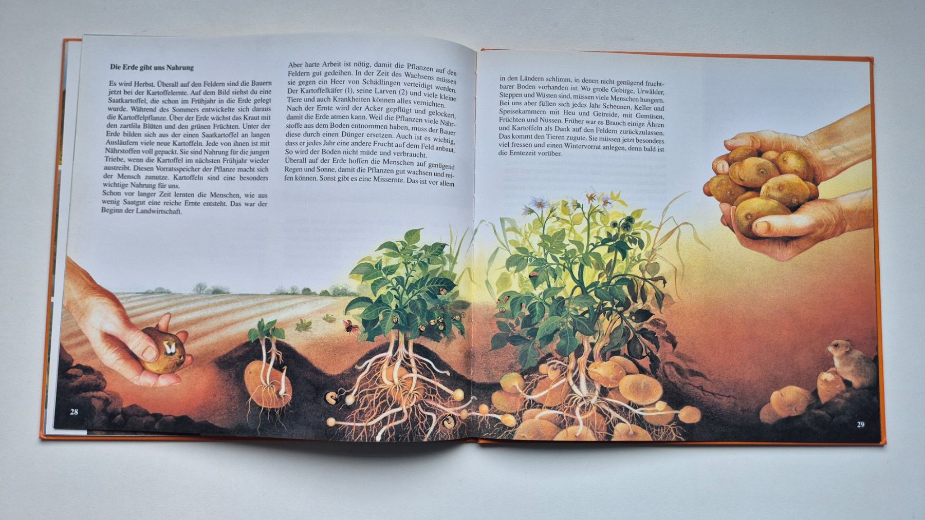 Bücher: Die Erd Uhr      🧡🌍  💦        Una Jacobs – Gebraucht aus Niederweningen von Obson 7