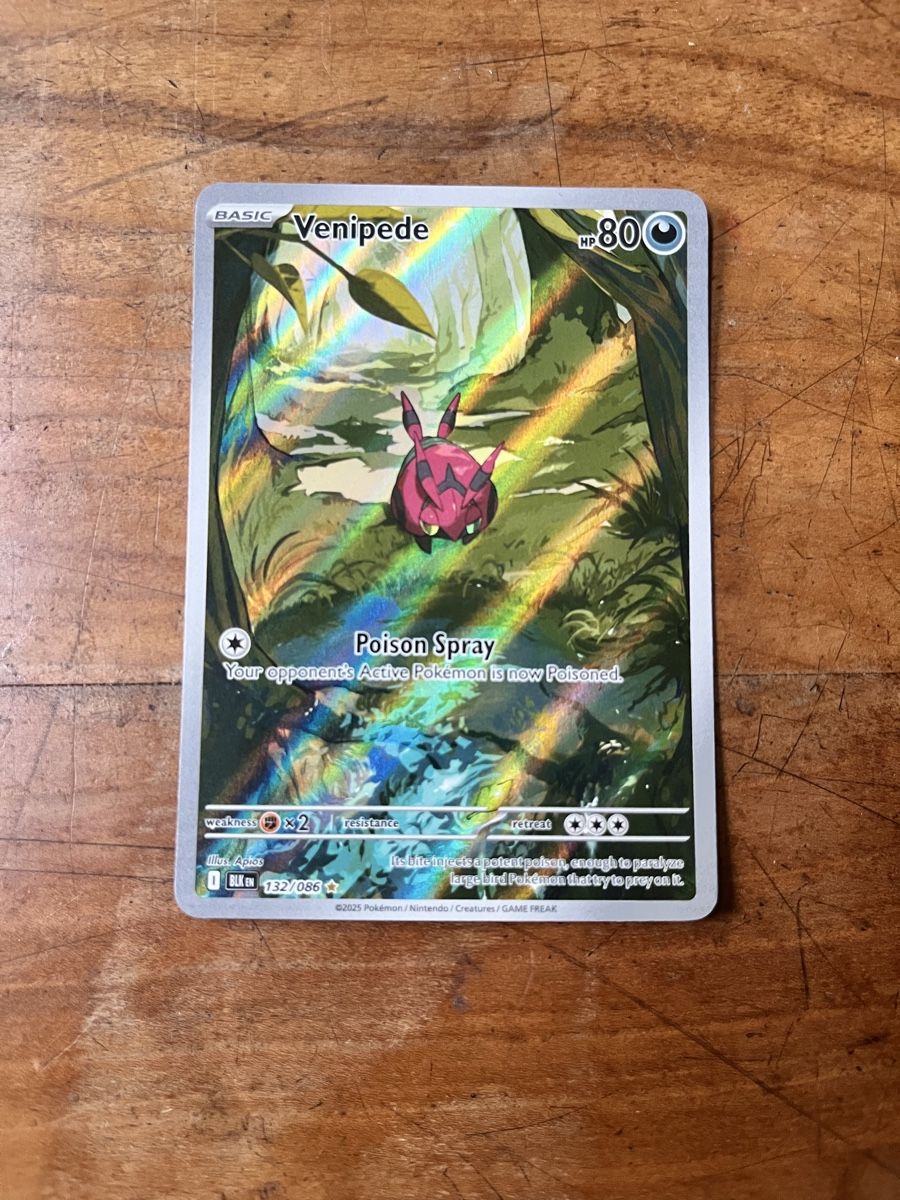 Pokémon Cartes à collectionner: Venipede 132/086 Black Bolt – D'occasion à Schattdorf par bja_r2hc