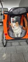 Leonpets Hundeanhänger