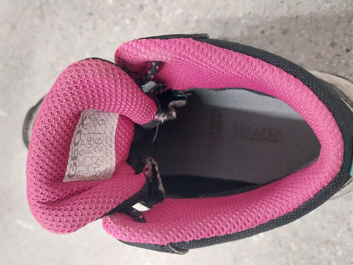 Geox Scarpe per ragazzi: Wanderschuhe Gr.26 – Usato da Hochwald venduto da pingu73 3