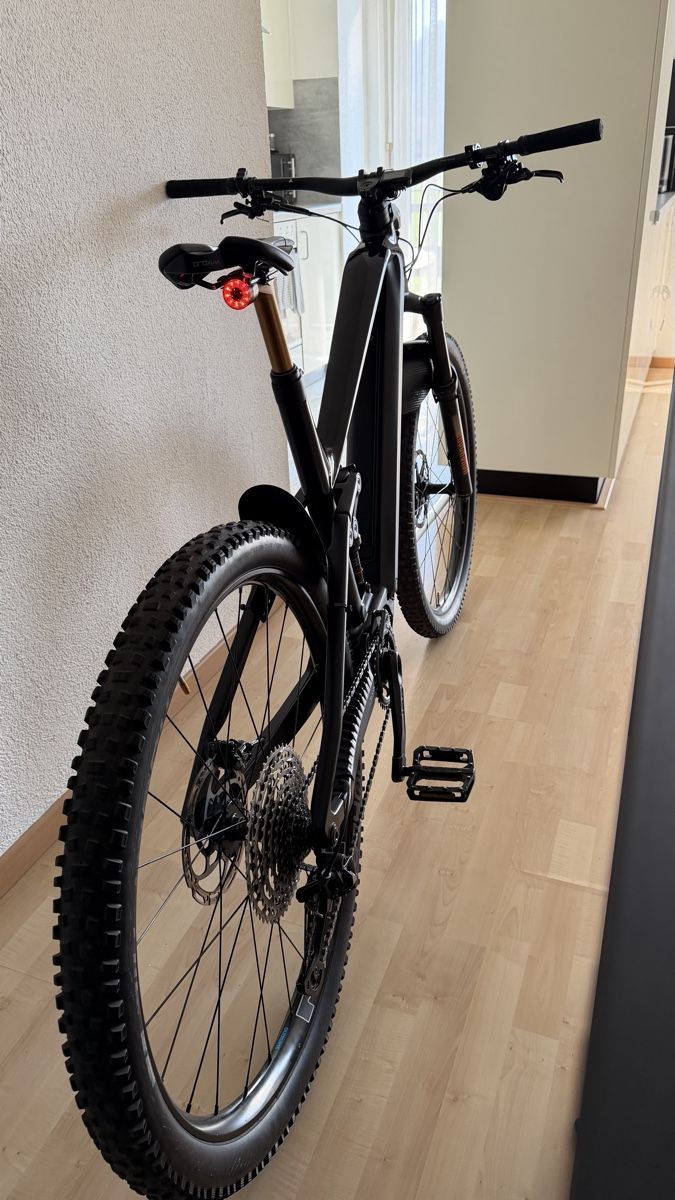 Bulls Biciclette: Bulls Sonic EVO AM-SL 1 Carbon – Usato da Embrach venduto da Firatkyz 2