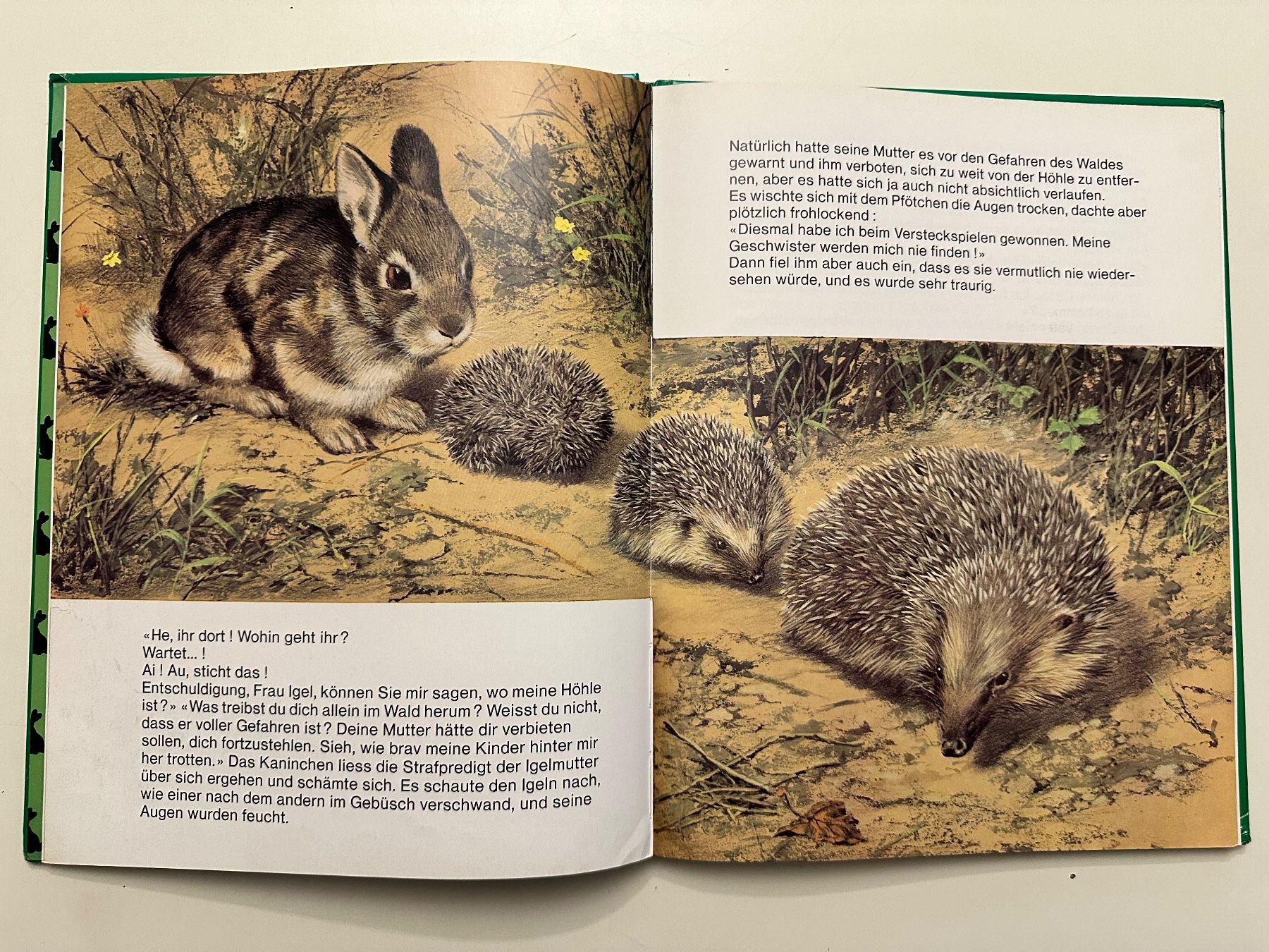 Bücher: CÄSAR das furchtlose Kaninchen  - Hardcover – Gebraucht aus Münsingen von Ganjam 4