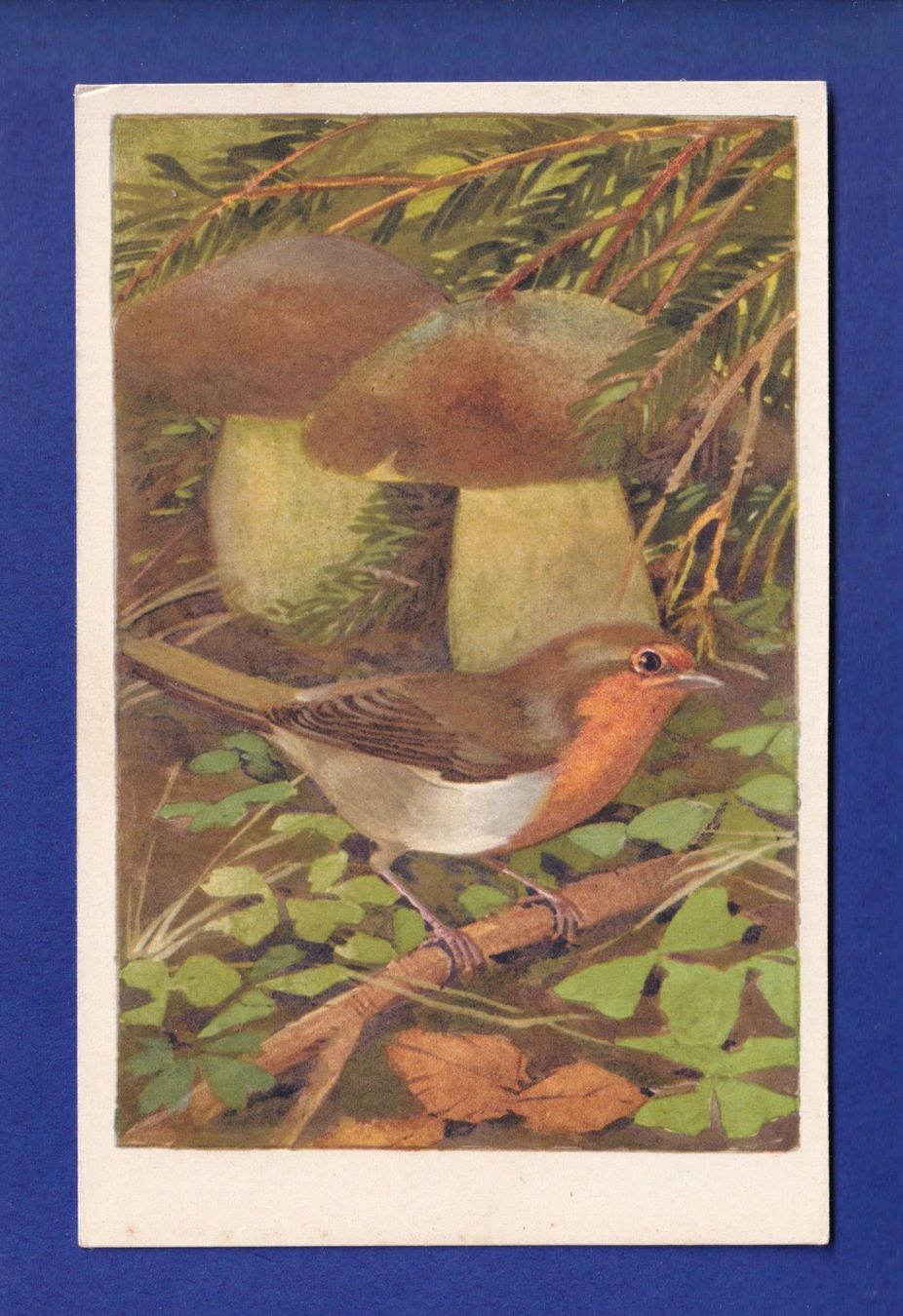 Cartoline postali: OISEAU - Rouge-Gorge – Usato da Pully venduto da nicecards-shop
