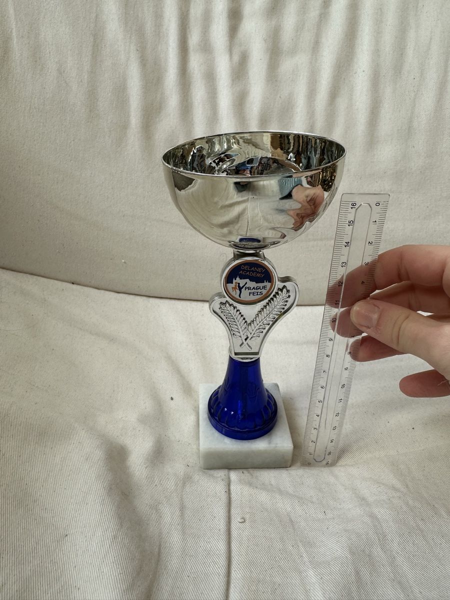 Altre raccolte & rarità: Silberner Pokal – Usato da Basel venduto da ari_f26x 1
