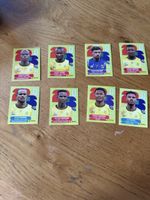 Panini 2026 8er Set RSA