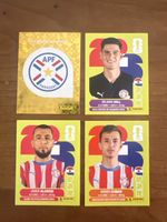 Panini Paraguay