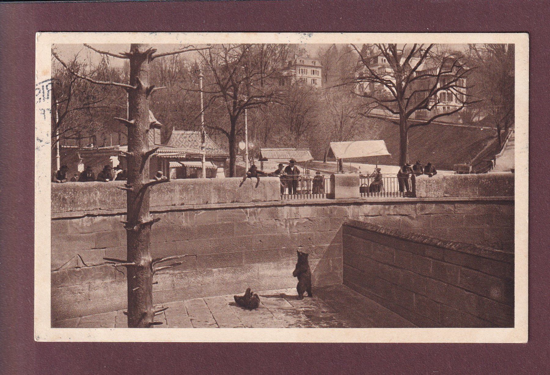 Cartoline postali: BERN - Bärengraben - 1913 – Usato da Pully venduto da nicecards