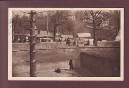 BERN - Bärengraben - 1913
