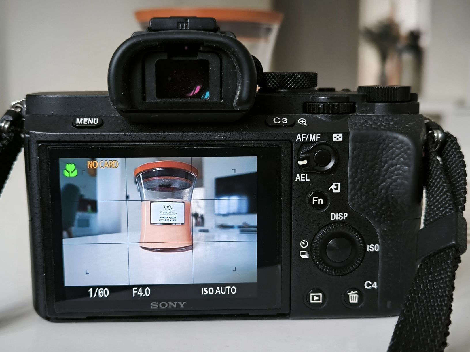 Sony Kamera: Sony alpha 7ii comme neuf – Gebraucht aus Riaz von vanucaptures 5