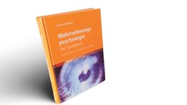 Wahrnehmungspsychologie 7. Grundkurs Goldstein Spektrum Buch