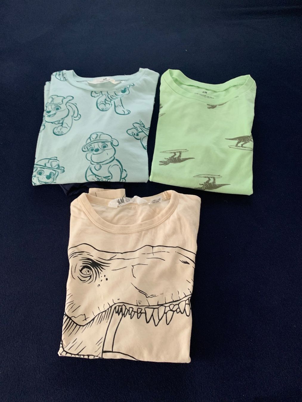 H&M Camicie, T-shirt & Polo: Tschirts Gr. 122/128 – Usato da Zürich venduto da Lucinka21