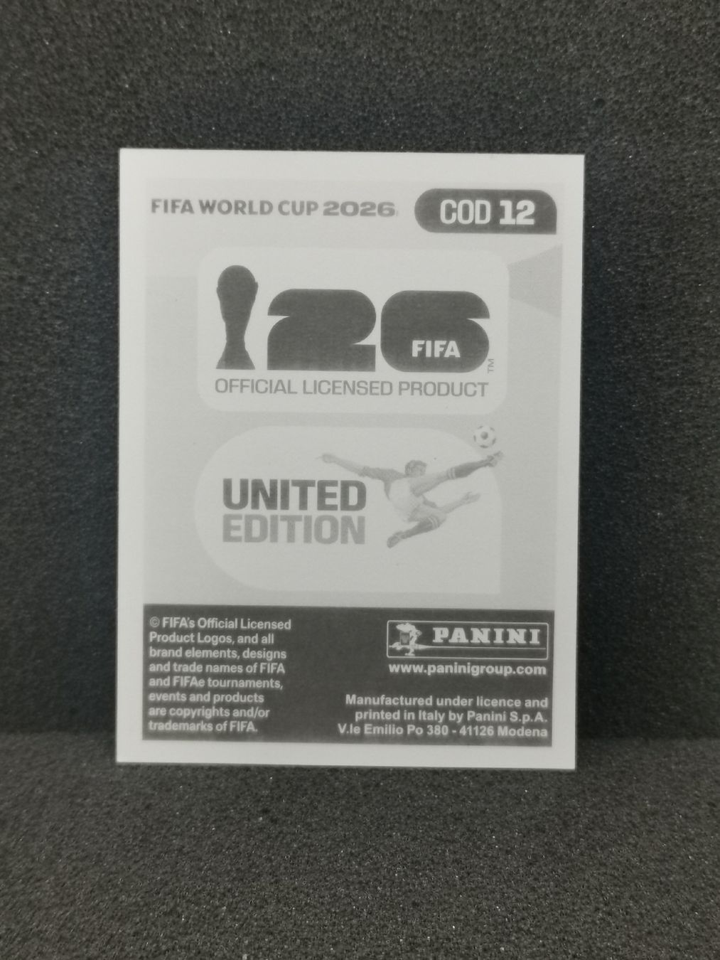 Panini Carte collezionabili: Panini Wm 2026 Sticker :Noah Sadiki Cod 12 – Usato da Einsiedeln venduto da sza_588x 1