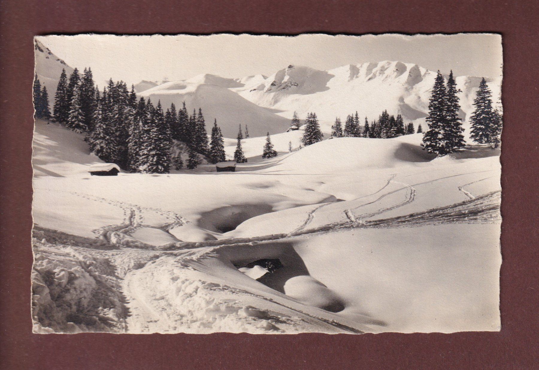 Ansichtskarten: Foto - E. GYGER – Gebraucht aus Pully von nicecards-shop