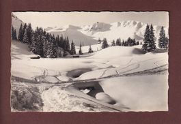 Foto - E. GYGER
