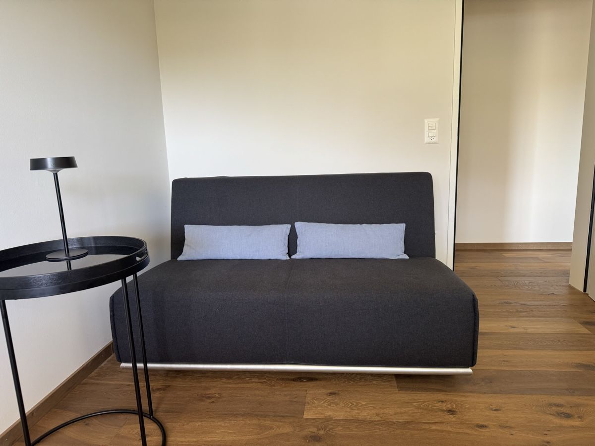 Pfister Sofas: Schlafsofa dunkelgrau Stoffbezug – Gebraucht aus Wollerau von Fano1999pre