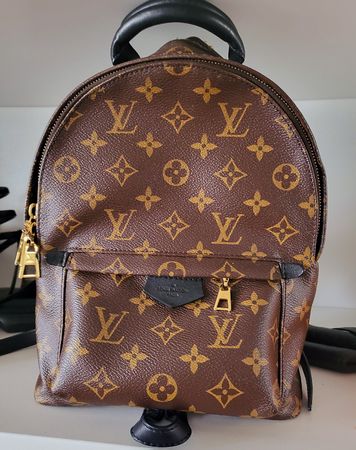 Louis Vuitton Palm SpringsBackpack -