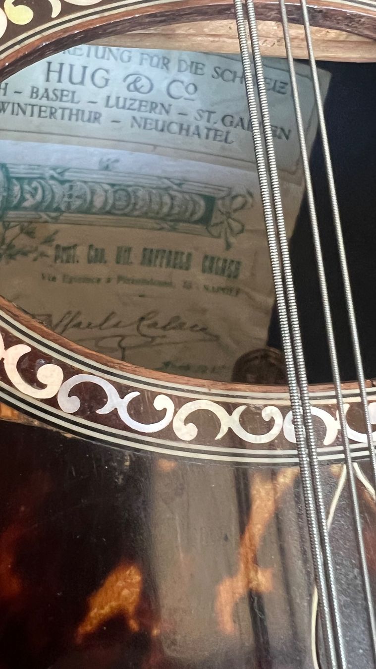 Strumenti musicali: Mandoline Raffaele Calace 1925 – Usato da Luzern venduto da TENDIMO 3