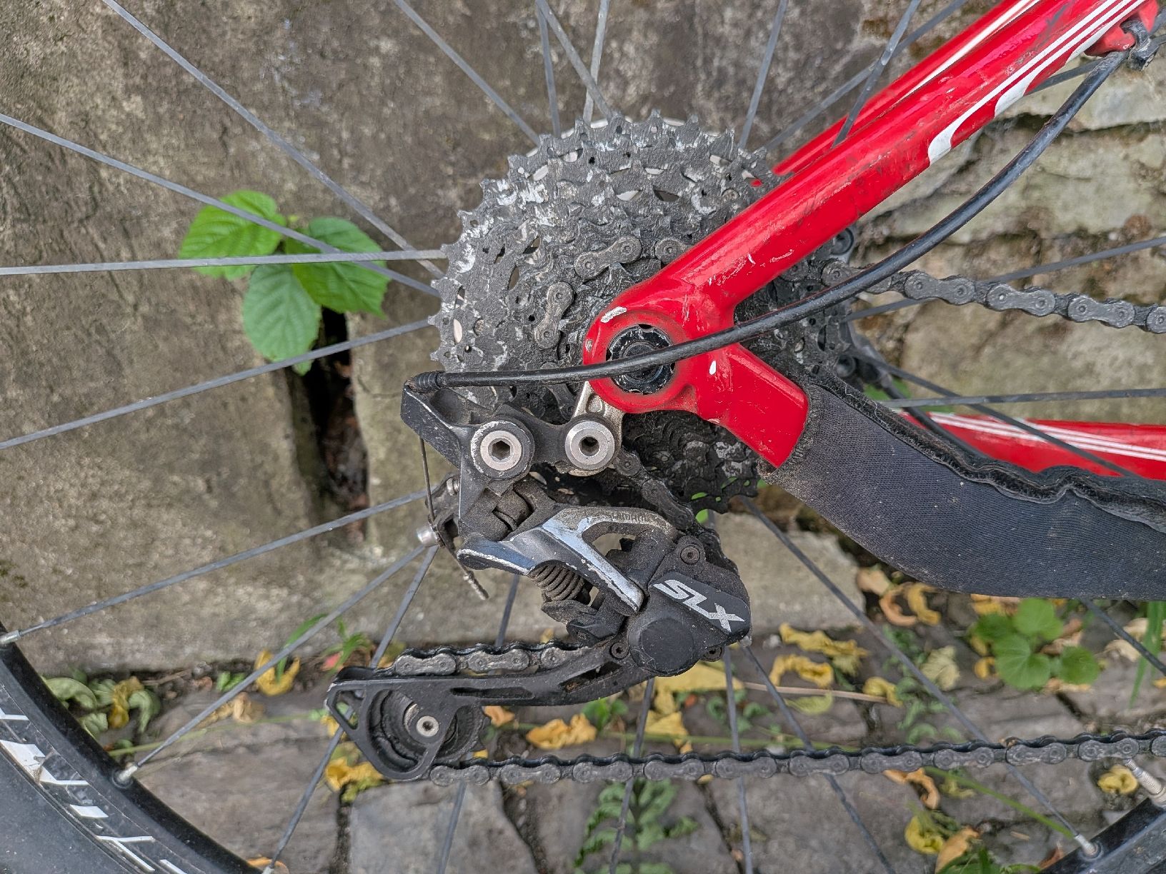 Thömus Biciclette: Thömus Bike – Usato da Bern venduto da Runner007 7