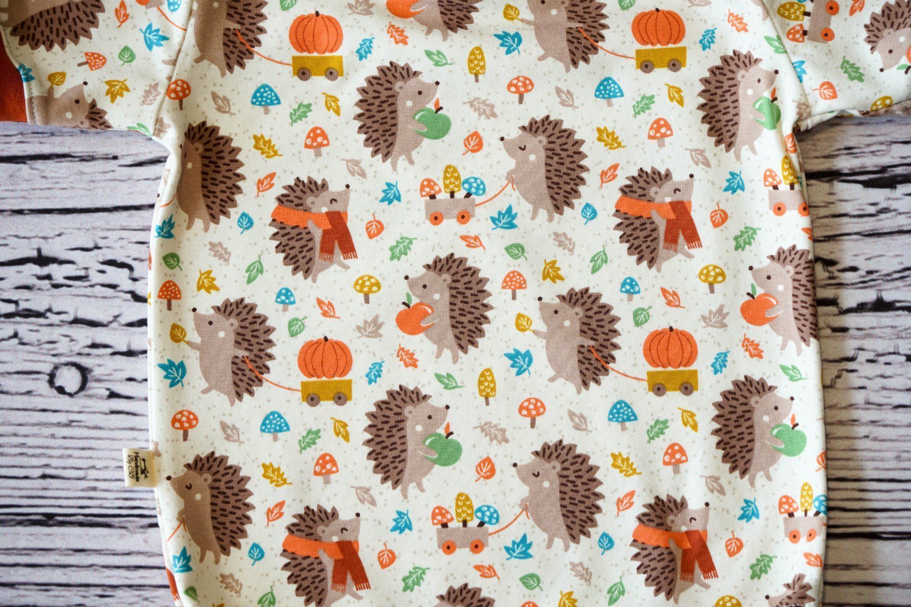 Biancheria intima: Kurzarm Bodys mit Igel/Pucky - Gr.86/92 NEU – Nuovo e nell'imballaggio originale da Zürich venduto da sambaum 4