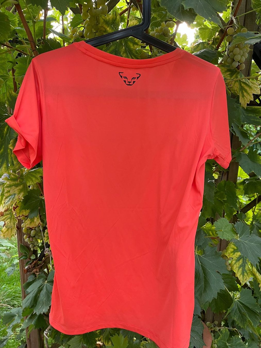 Dynafit T-shirt: Dynafit Sport Shirt Gr.M – Usato da Hagenbuch ZH venduto da Gasmen 3