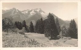 Alpenschweiz (CH) – Berglandschaft mit Wiesen und Tannen