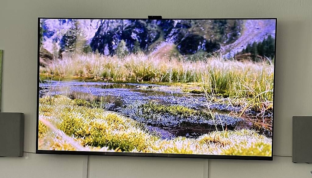 Televisori: Sony Ferseher Oled XR-65A95K – Usato da Ebmatingen venduto da Encaustic