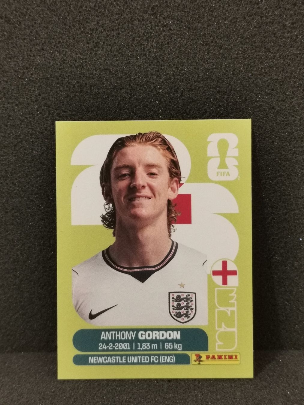 Panini Carte collezionabili: Panini Wm 2026 Sticker :Anthony Gordon Eng 15 – Usato da Einsiedeln venduto da sza_588x