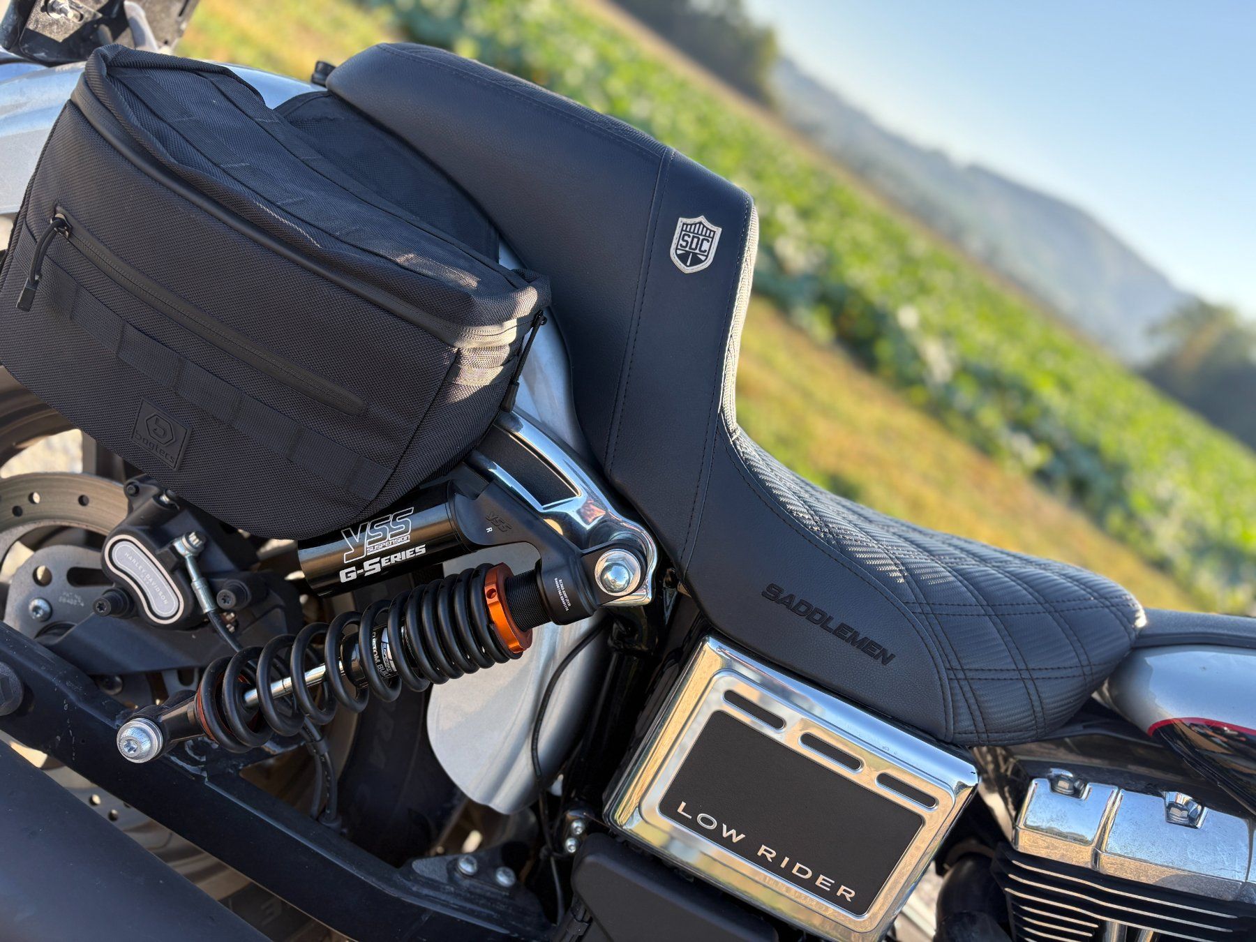 Harley-Davidson Chopper: Harley Dyna Lowrider RS – Usato da Münchwilen TG venduto da VeniceBeach02 2