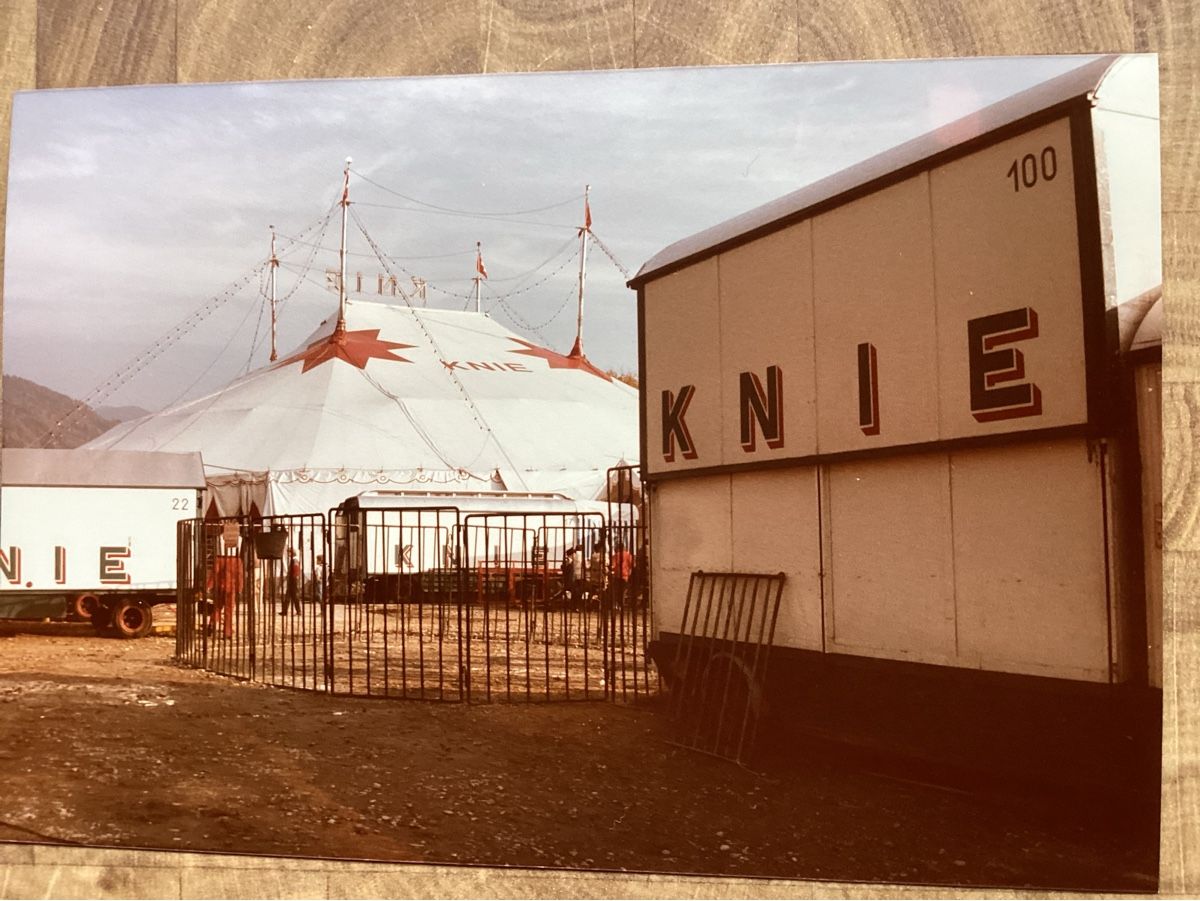 Poster & Bilder: Circus Knie Foto 1984 – Gebraucht aus Reichenbach i. K. von astra2010