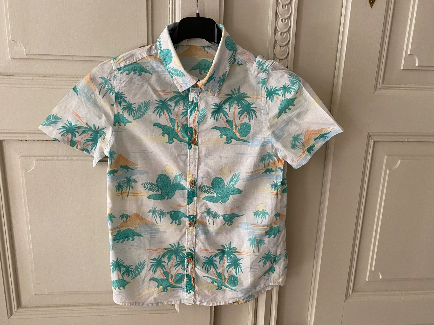 H&M Hemden, T-Shirts & Polos: H&M Hemd Gr. 128 mit Dinosauriermuster, Sommerlich! – Gebraucht aus Fribourg von geraldine132 1
