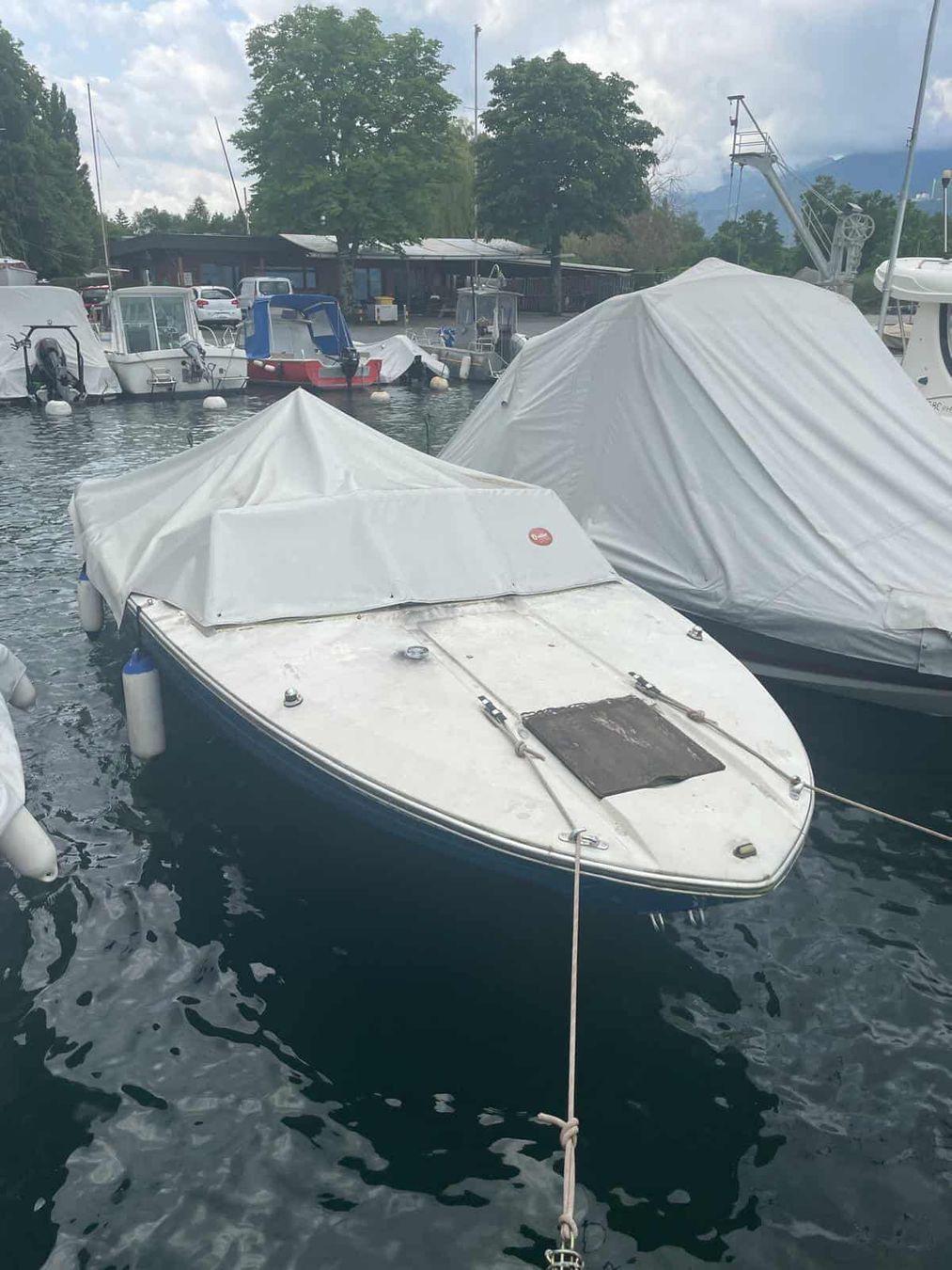 Sea Ray Boote: searay srv 190 – Gebraucht aus Collombey von tugach 2