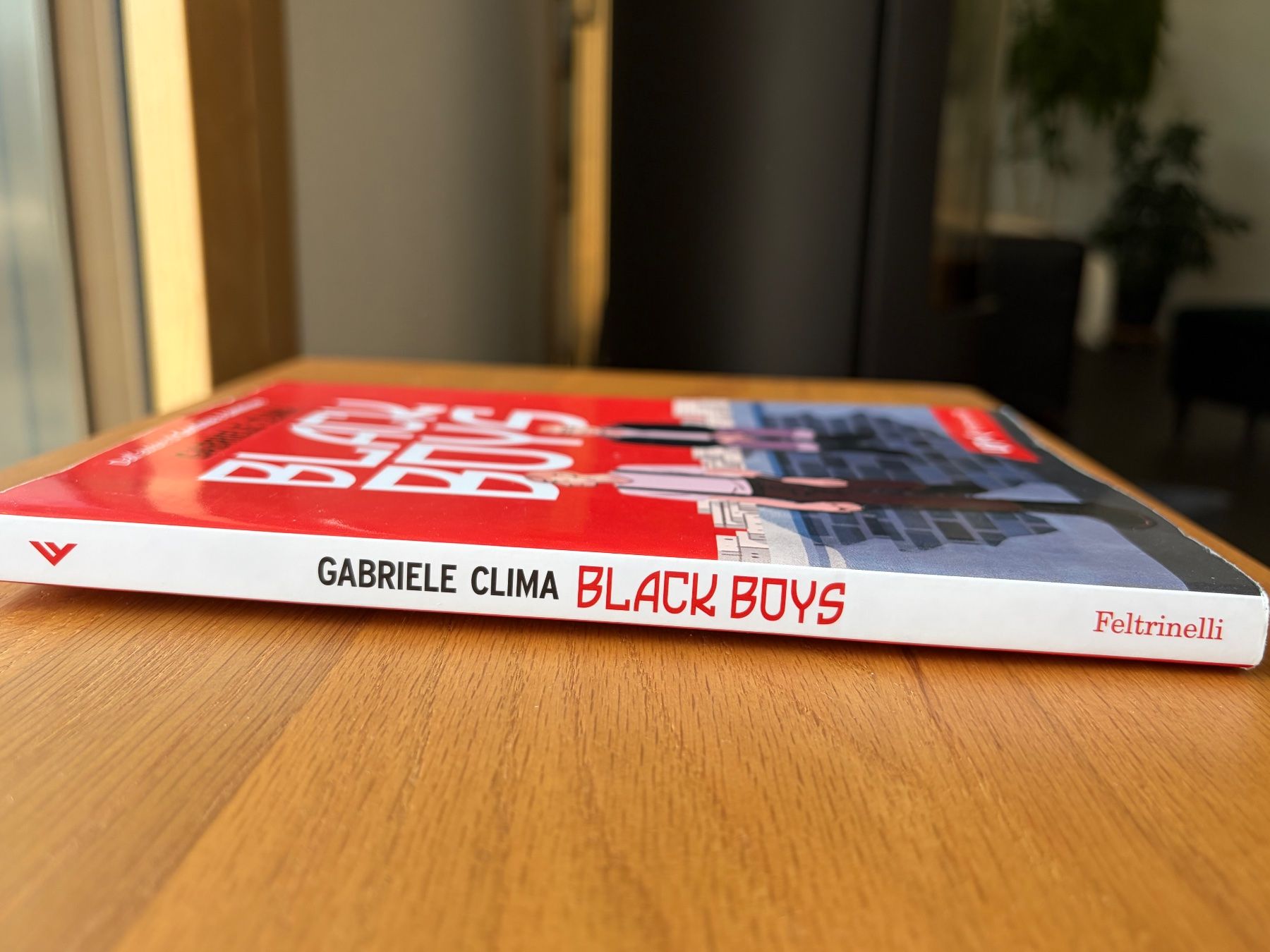 Bücher: Black Boys - Gabriele Clima – Gebraucht aus Vallamand von hed_qx6n 2